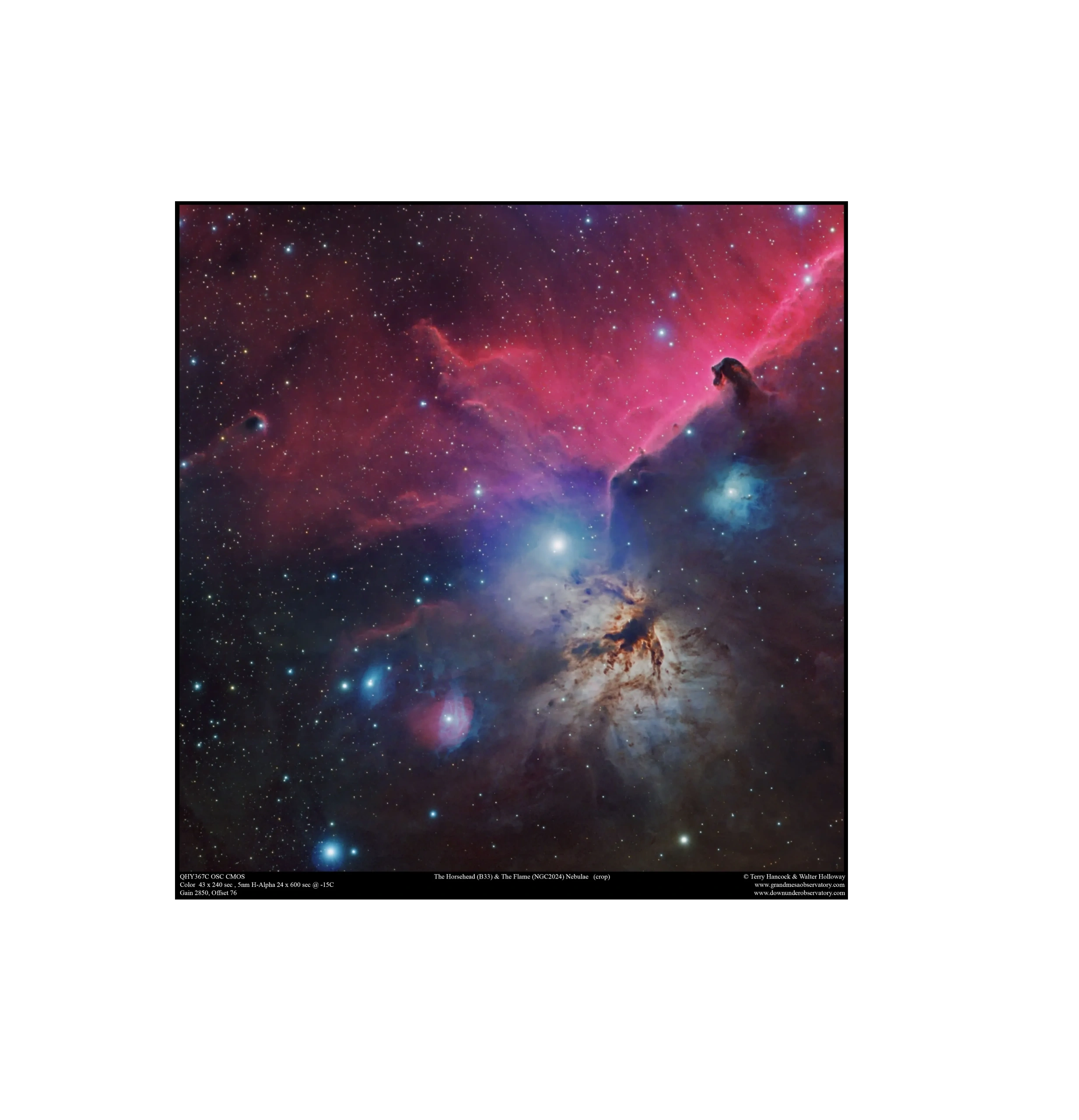 The Comet, the Whale, and the Hockey Stick